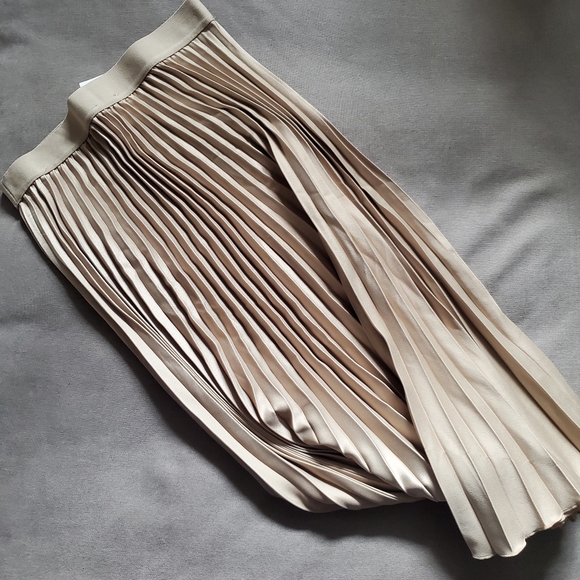 NWT Pleated Skirt - Picture 4 of 5